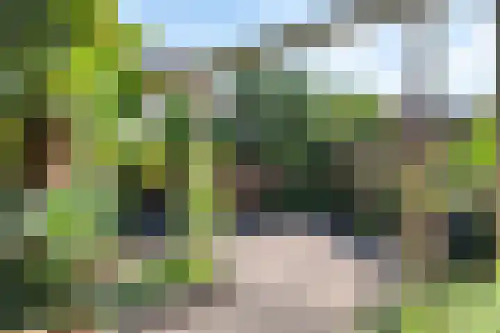 Graaf Albrechtlaan 1 Vogelenzang thumbnail 11