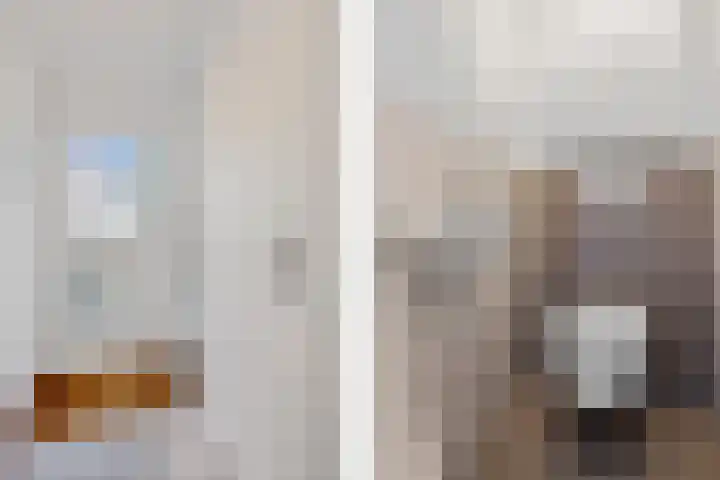 Graaf Albrechtlaan 1 Vogelenzang thumbnail 18
