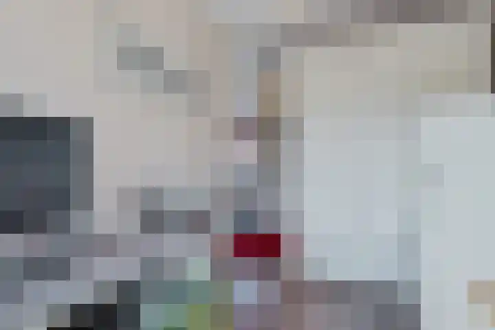 Graaf Albrechtlaan 1 Vogelenzang thumbnail 22