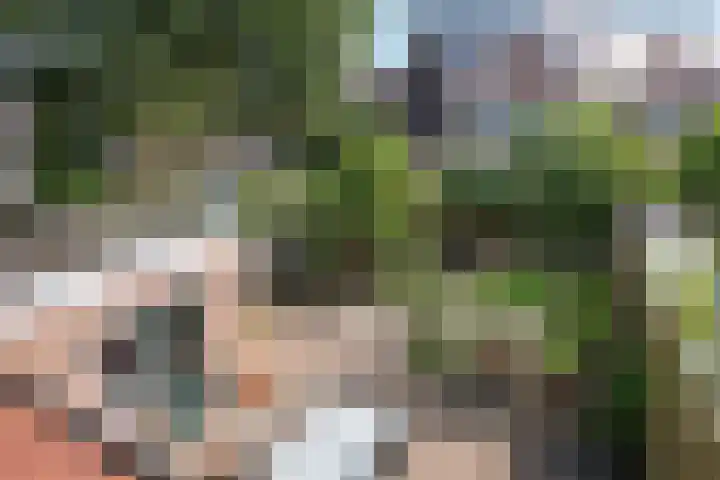 Graaf Albrechtlaan 1 Vogelenzang thumbnail 24