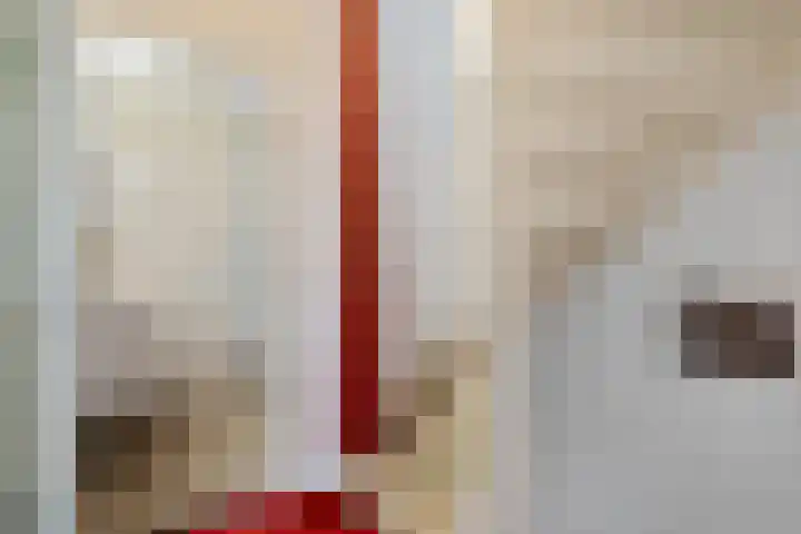 Graaf Albrechtlaan 1 Vogelenzang thumbnail 27