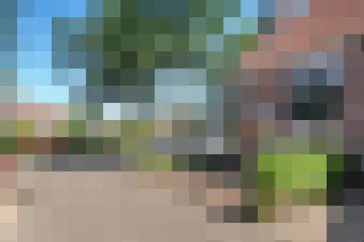 Graaf Albrechtlaan 1 Vogelenzang thumbnail 33