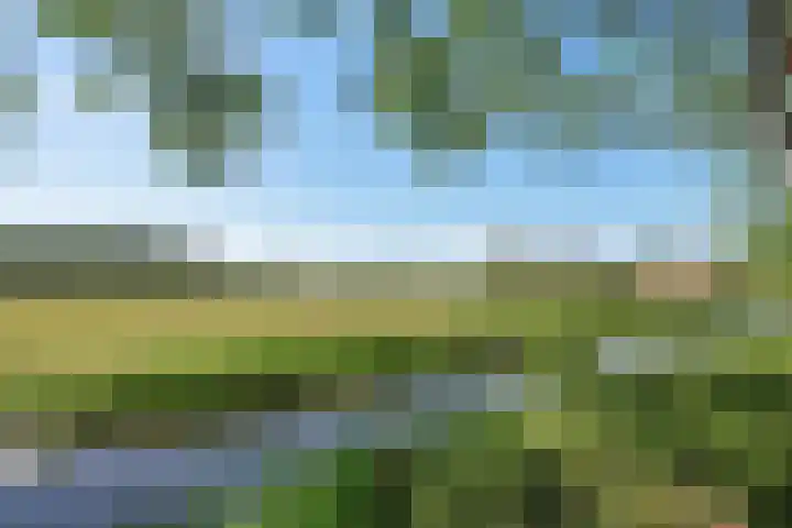 Graaf Albrechtlaan 1 Vogelenzang thumbnail 34