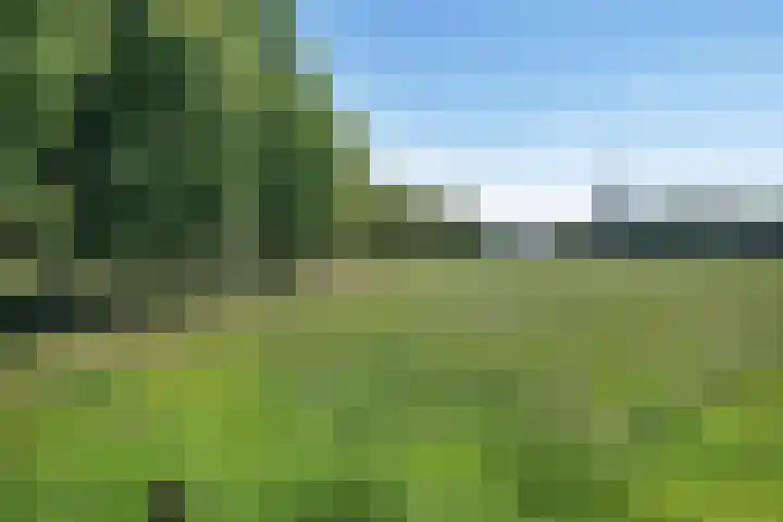 Graaf Albrechtlaan 1 Vogelenzang thumbnail 35