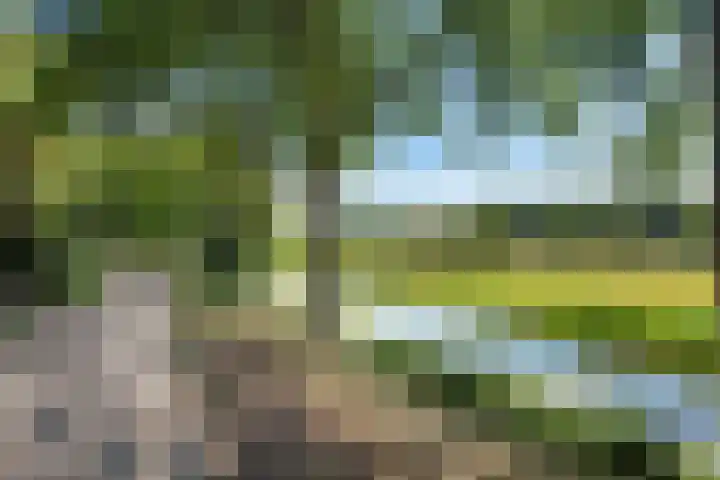 Graaf Albrechtlaan 1 Vogelenzang thumbnail 4
