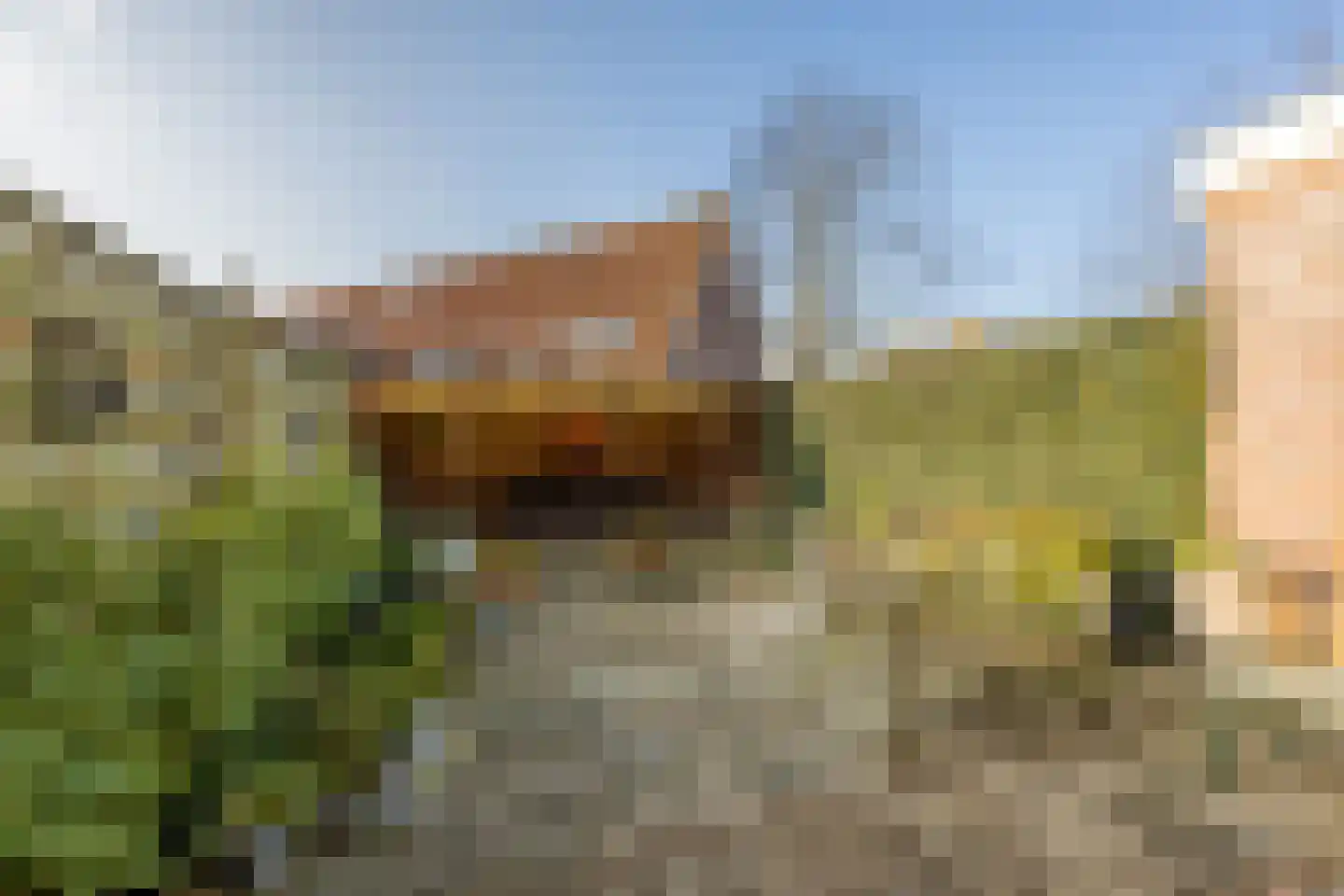 Graaf Albrechtlaan 4 Vogelenzang thumbnail 13