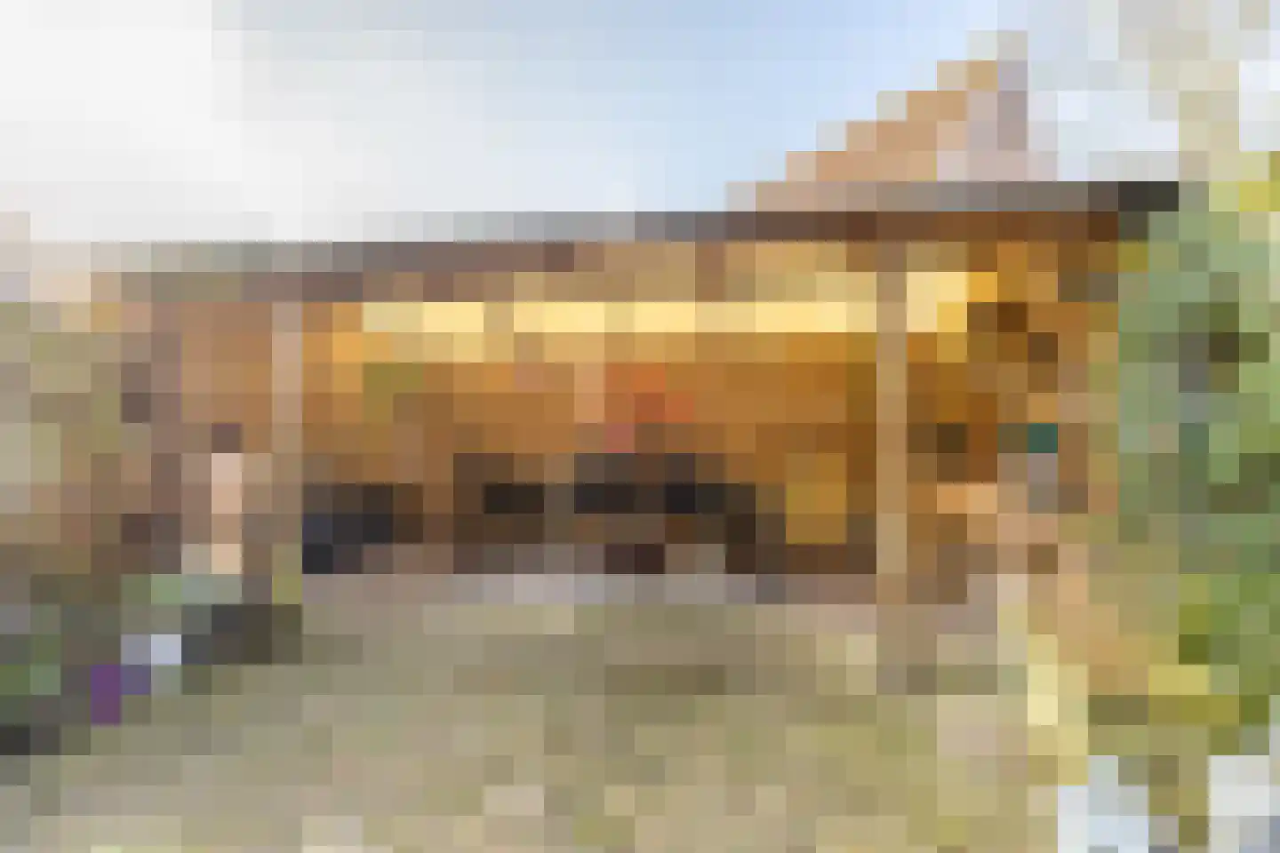 Graaf Albrechtlaan 4 Vogelenzang thumbnail 15