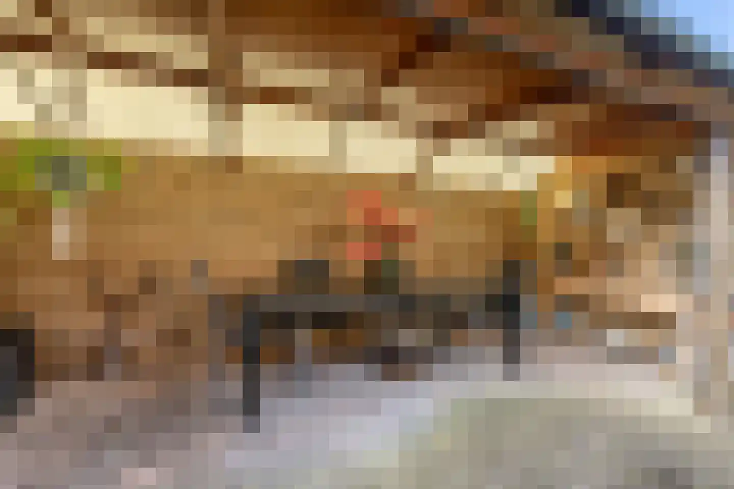 Graaf Albrechtlaan 4 Vogelenzang thumbnail 16