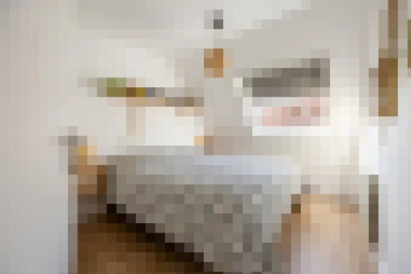 Graaf Albrechtlaan 4 Vogelenzang thumbnail 19