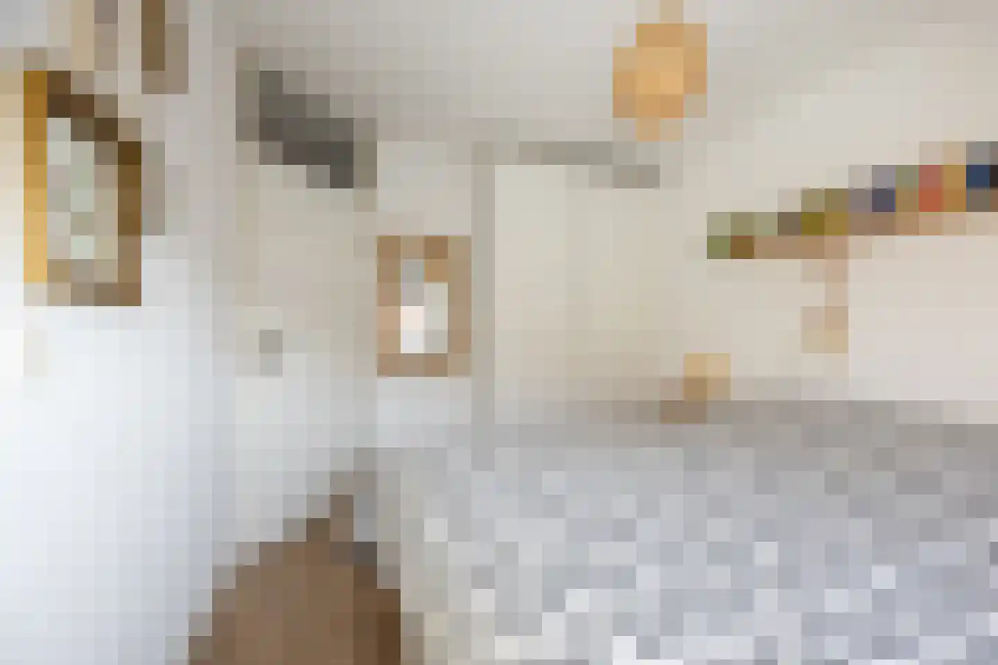 Graaf Albrechtlaan 4 Vogelenzang thumbnail 20