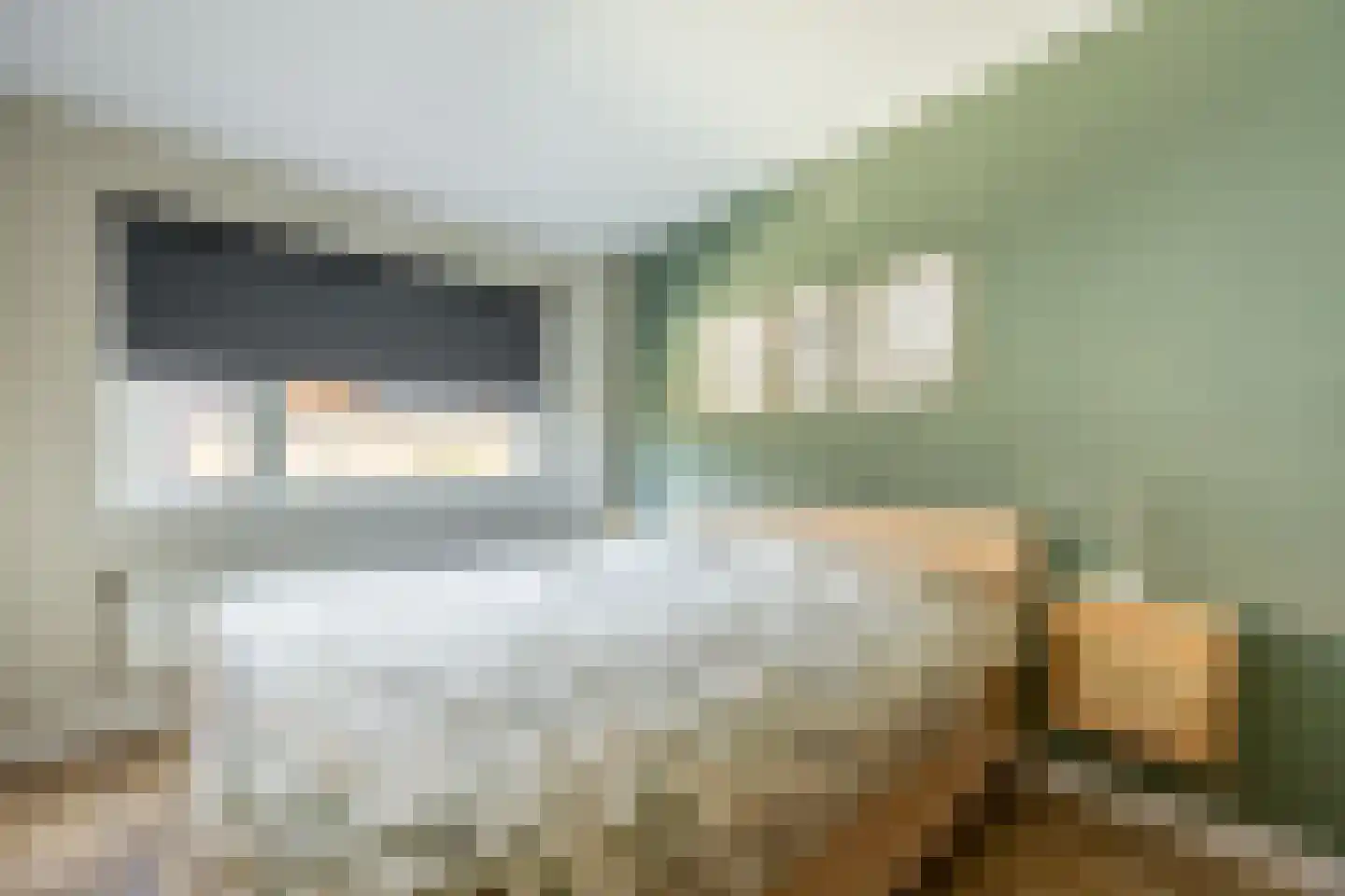 Graaf Albrechtlaan 4 Vogelenzang thumbnail 22
