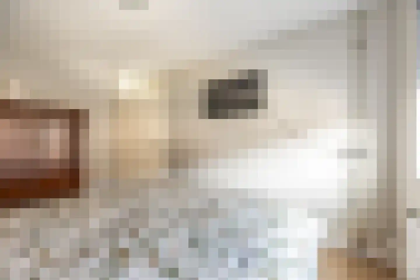 Graaf Albrechtlaan 4 Vogelenzang thumbnail 23