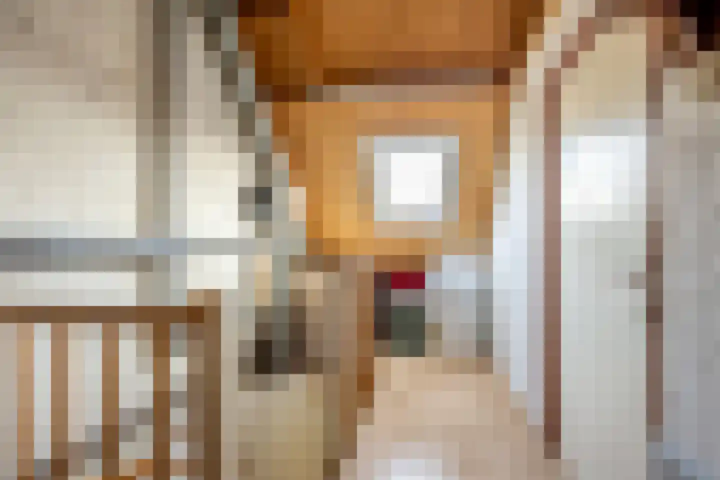 Graaf Albrechtlaan 4 Vogelenzang thumbnail 30