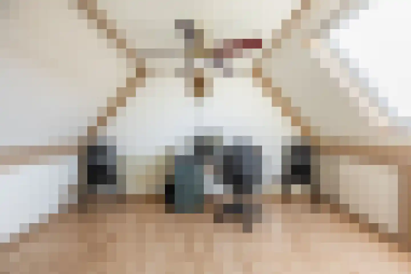 Graaf Albrechtlaan 4 Vogelenzang thumbnail 31