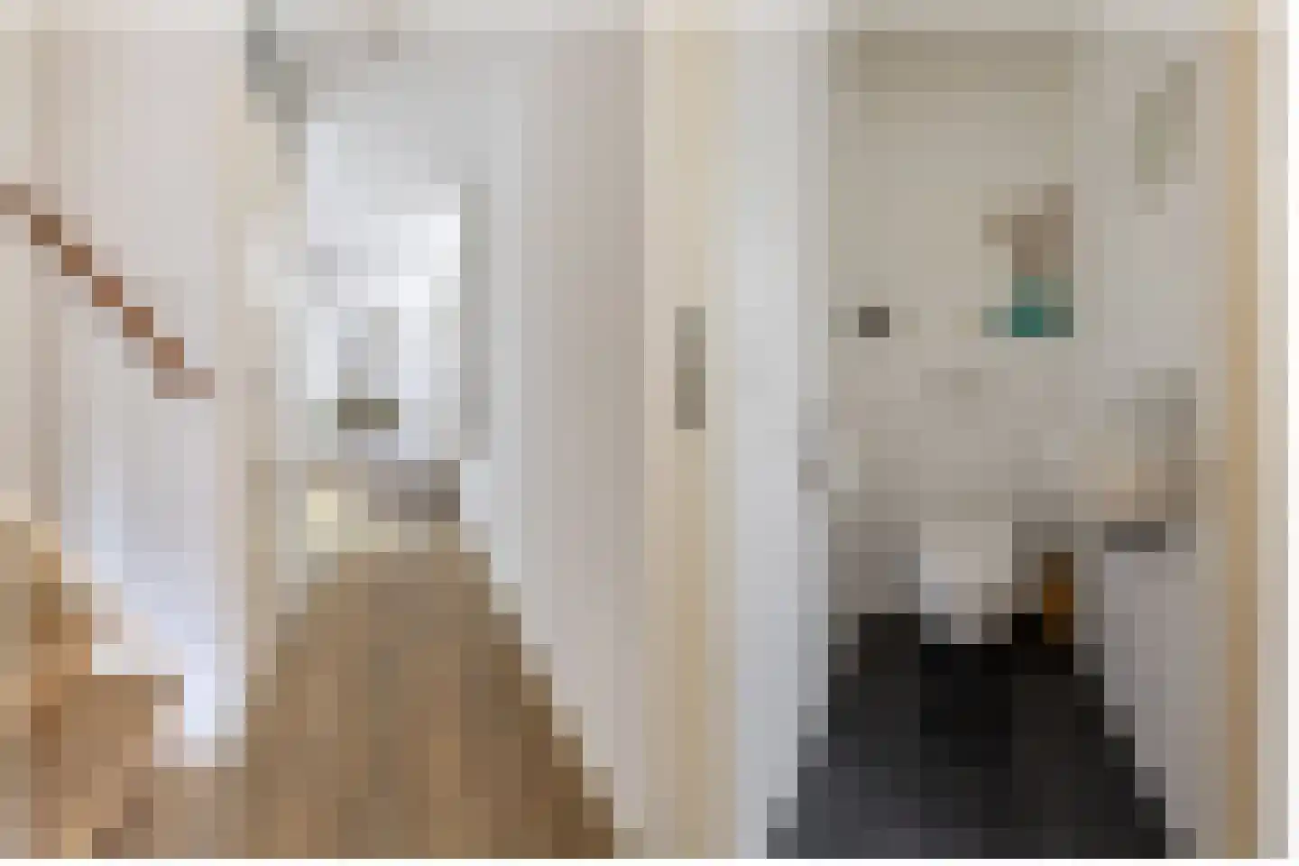 Graaf Albrechtlaan 4 Vogelenzang thumbnail 4