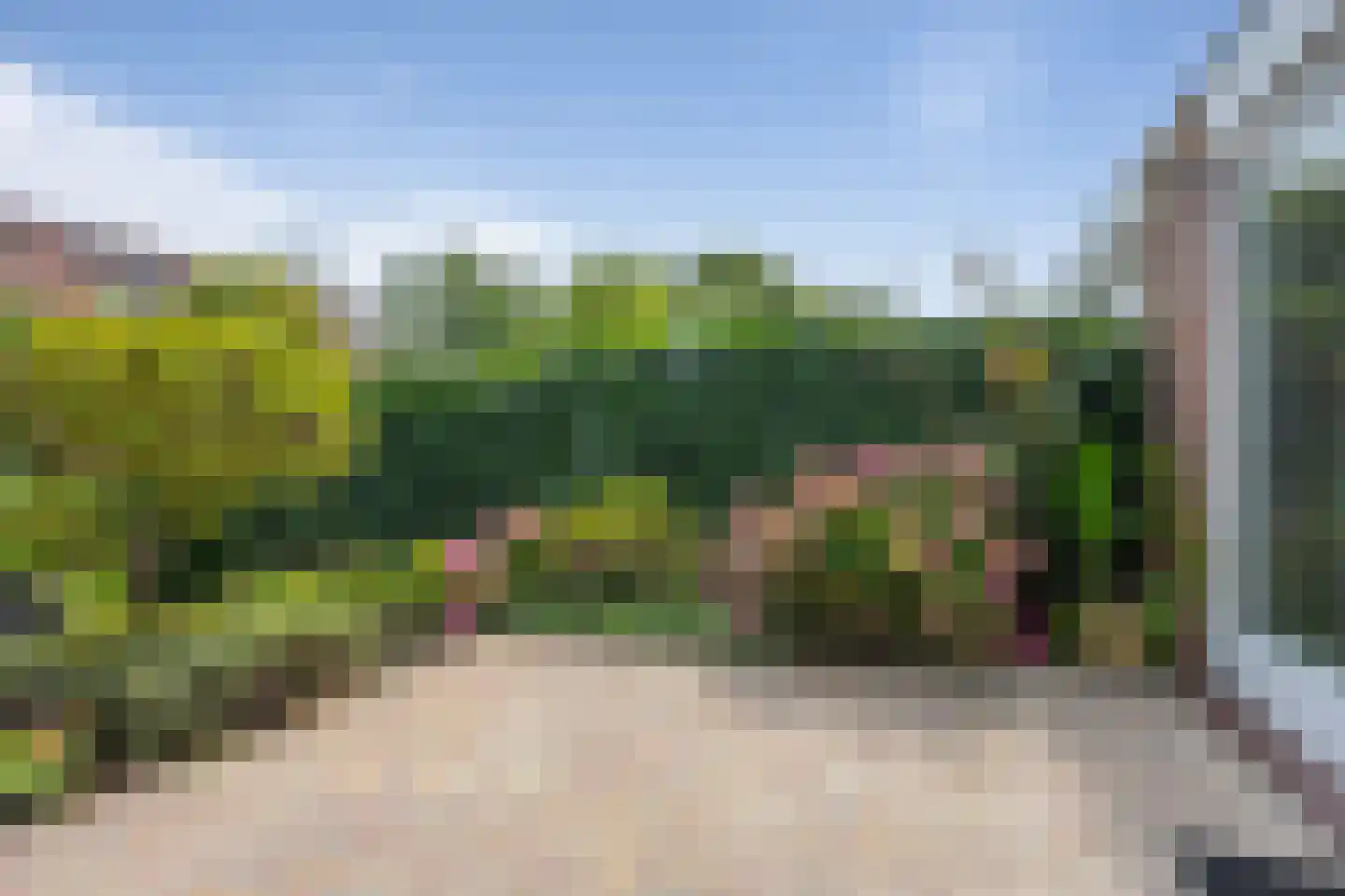 Graaf Albrechtlaan 5 Vogelenzang thumbnail 11