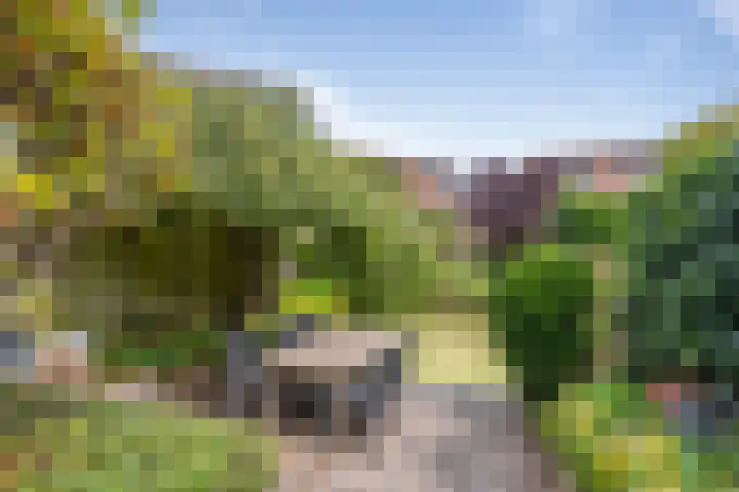 Graaf Albrechtlaan 5 Vogelenzang thumbnail 12
