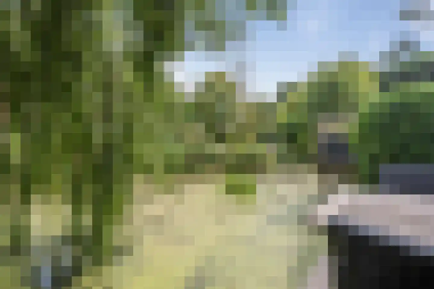 Graaf Albrechtlaan 5 Vogelenzang thumbnail 13