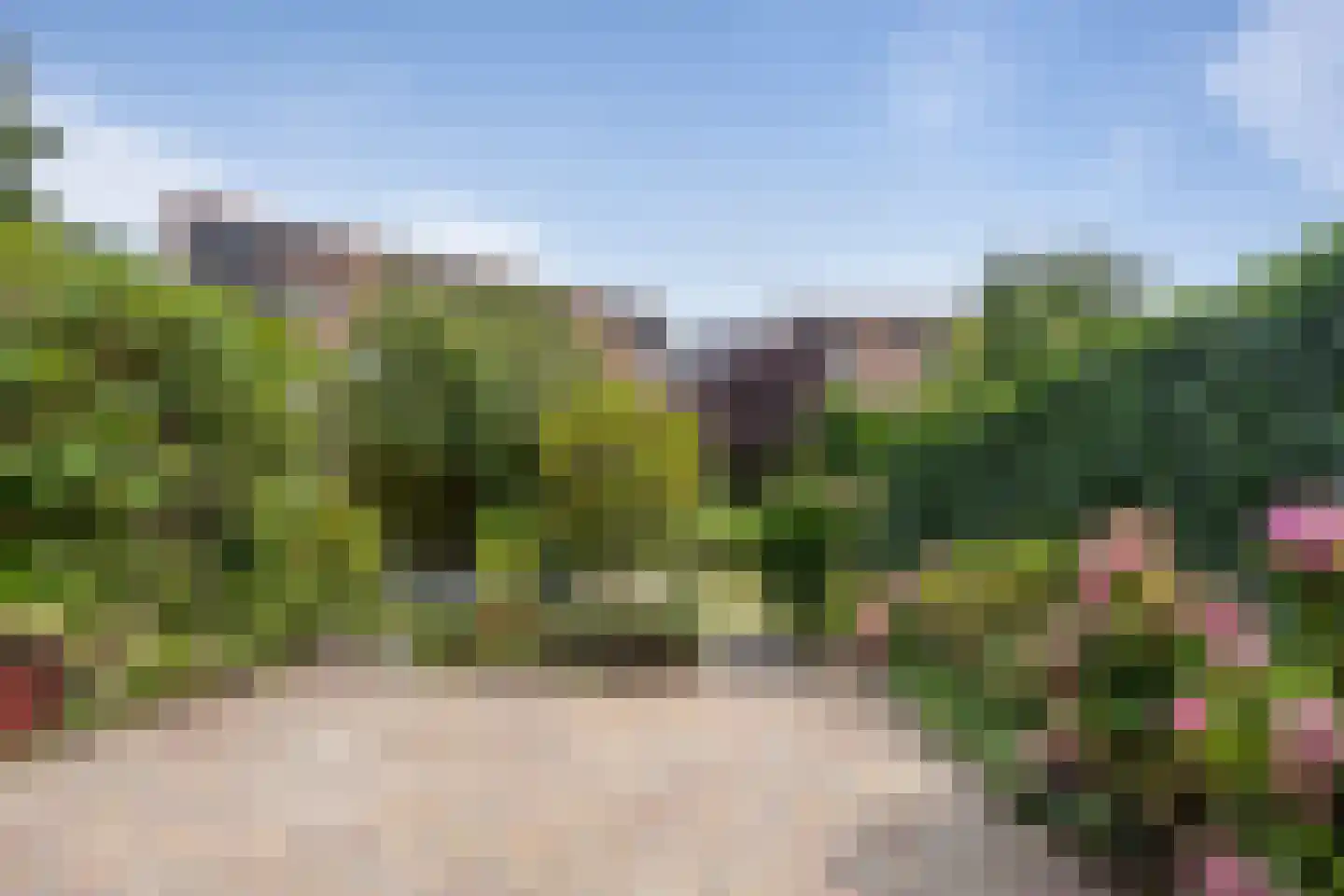Graaf Albrechtlaan 5 Vogelenzang thumbnail 9