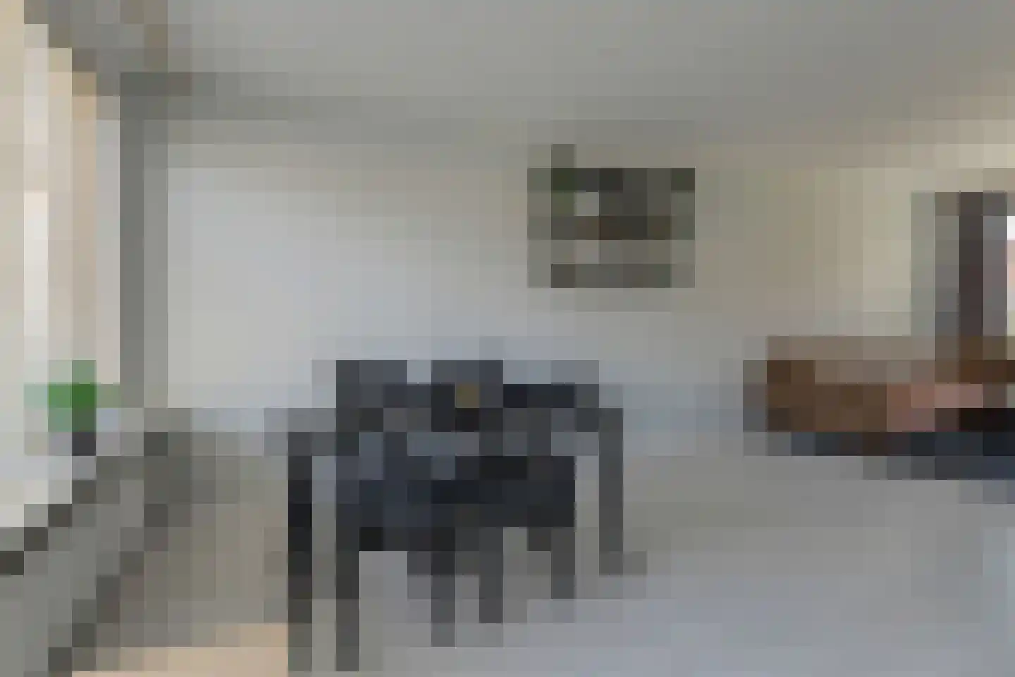 Graaf Albrechtstraat 13 Geertruidenberg thumbnail 17