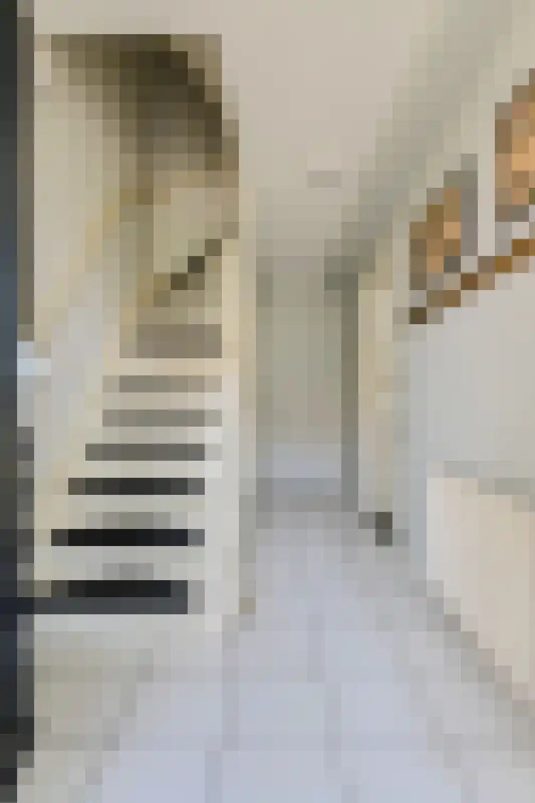 Graaf Albrechtstraat 13 Geertruidenberg thumbnail 21