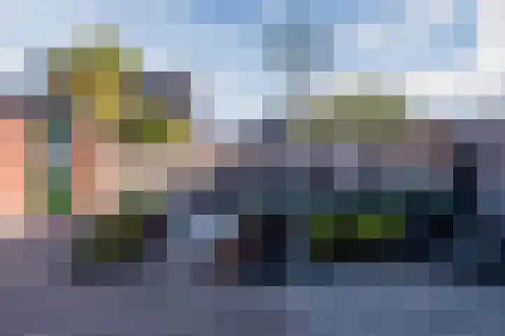 Graaf Albrechtstraat 28 Nieuwerbrug aan den Rijn thumbnail 33