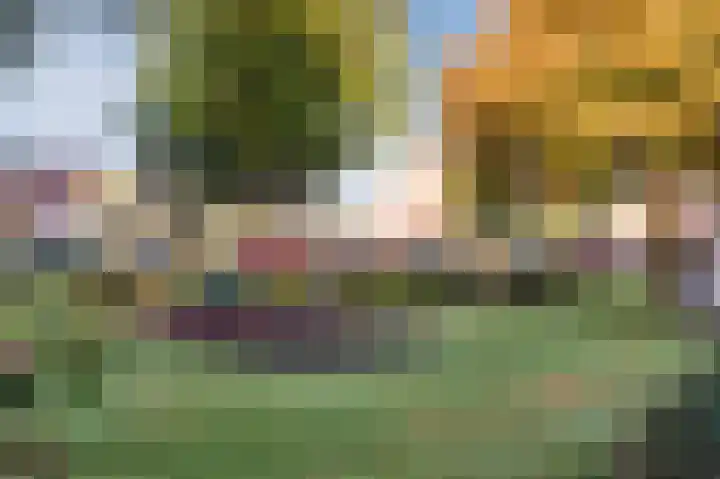 Graaf Albrechtstraat 28 Nieuwerbrug aan den Rijn thumbnail 38