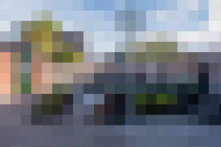 Graaf Albrechtstraat 28 Nieuwerbrug aan den Rijn thumbnail 5