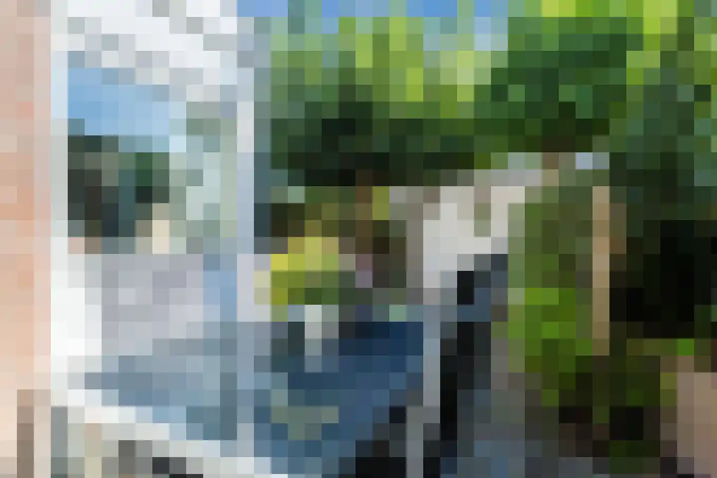 Graaf Albrechtstraat 29 Nieuwerbrug aan den Rijn thumbnail 36