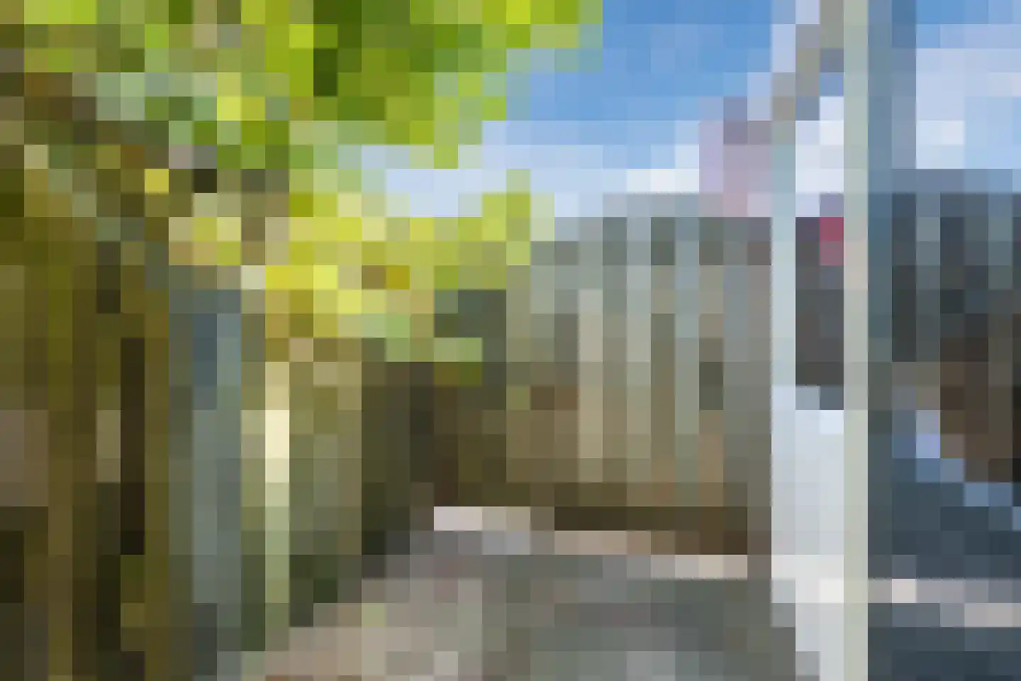 Graaf Albrechtstraat 29 Nieuwerbrug aan den Rijn thumbnail 38