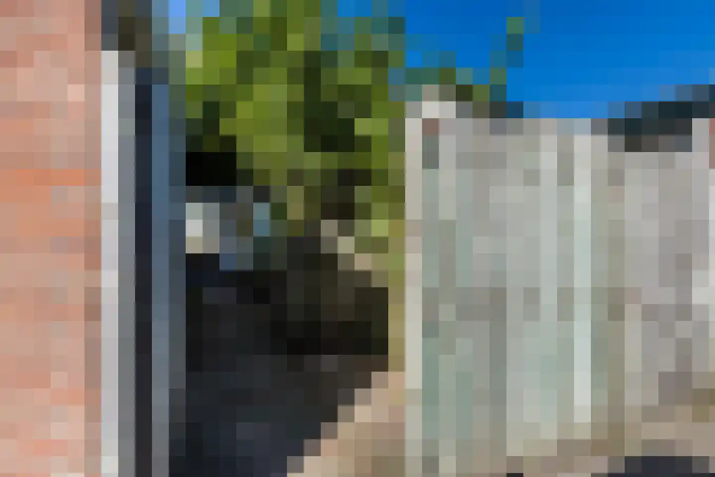 Graaf Albrechtstraat 29 Nieuwerbrug aan den Rijn thumbnail 40