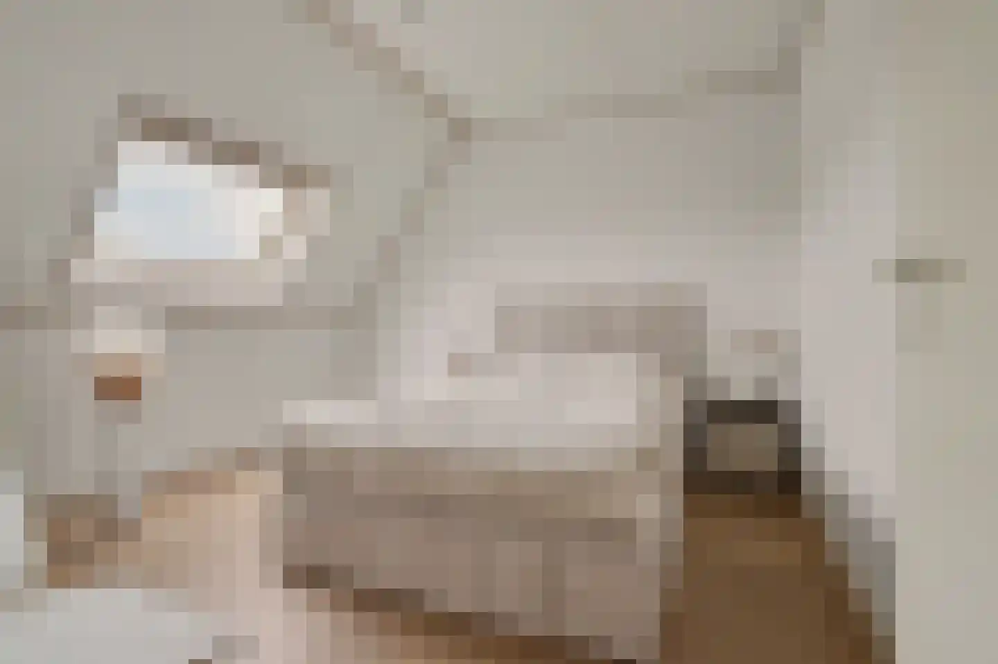 Graaf Albrechtstraat 32 Elshout thumbnail 8