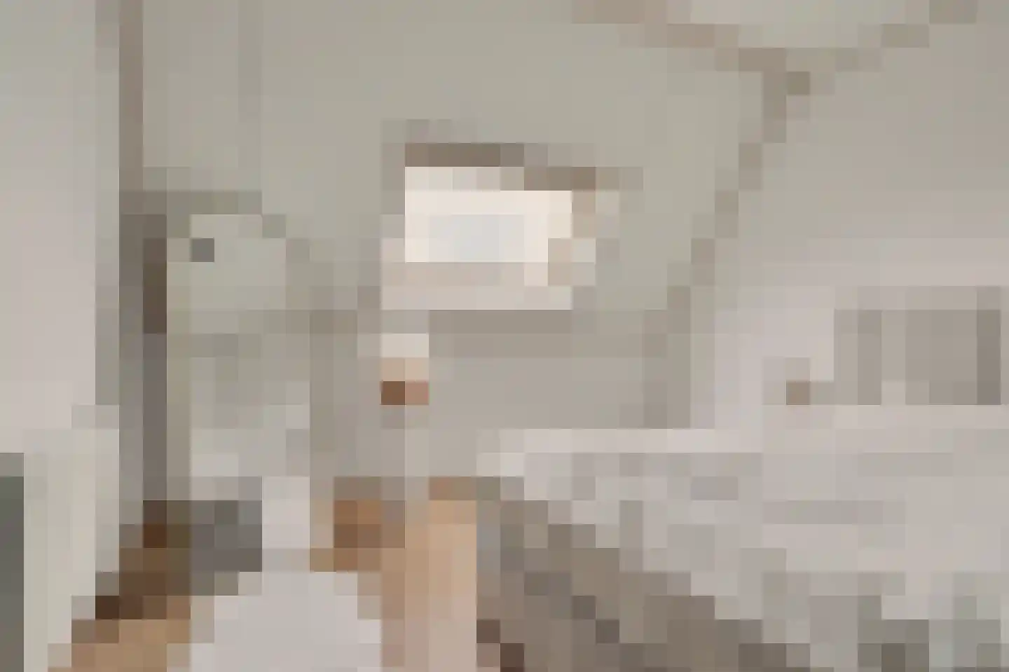 Graaf Albrechtstraat 32 Elshout thumbnail 9