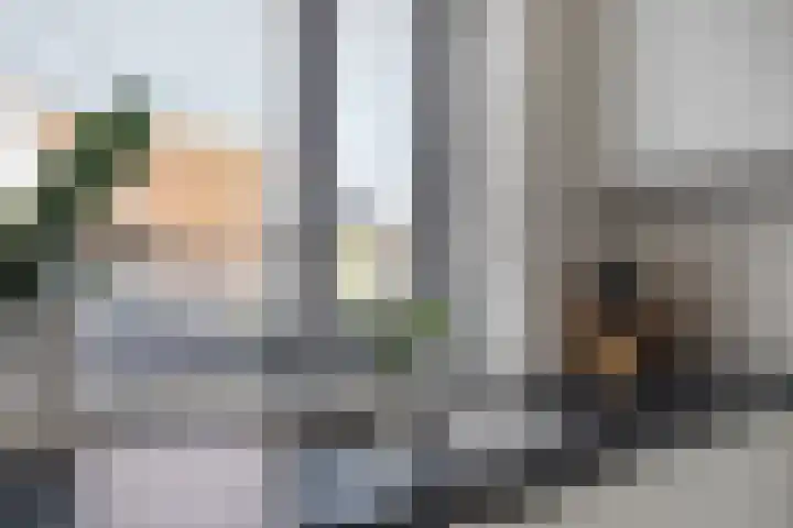 Graaf Albrechtstraat 65 Nieuwerbrug aan den Rijn thumbnail 17