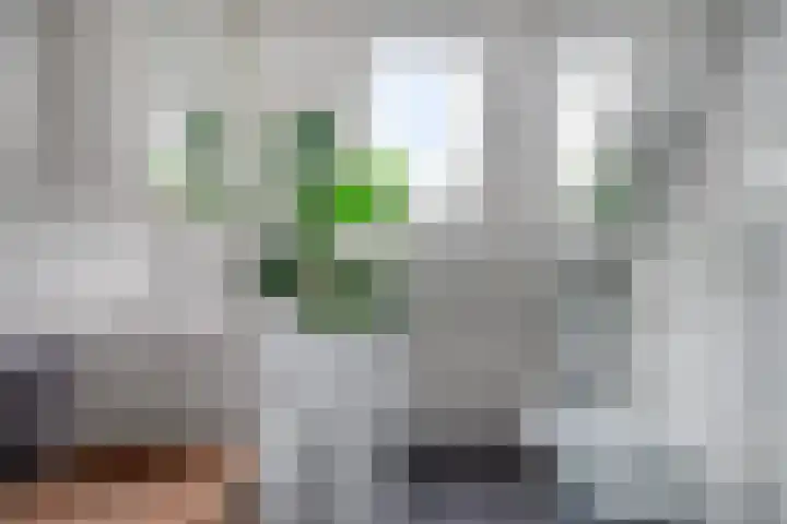 Graaf Albrechtstraat 65 Nieuwerbrug aan den Rijn thumbnail 25