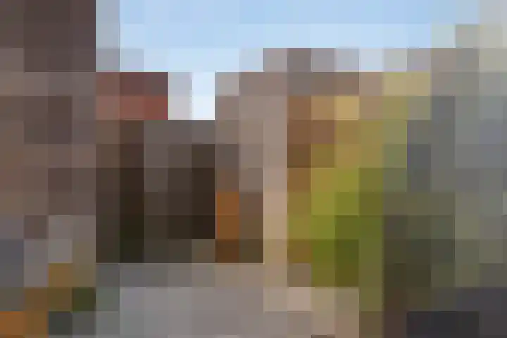 Graaf Albrechtstraat 65 Nieuwerbrug aan den Rijn thumbnail 9