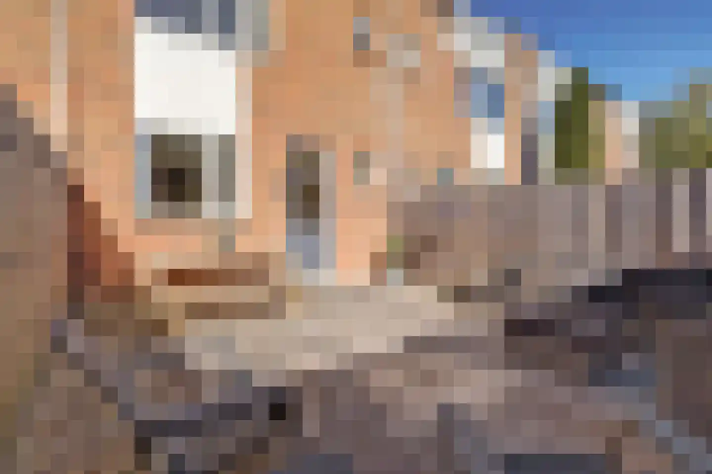 Graaf Anselmdek 11 Nieuwegein thumbnail 31
