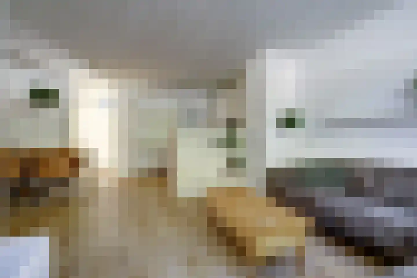 Graaf Anselmdek 11 Nieuwegein thumbnail 4