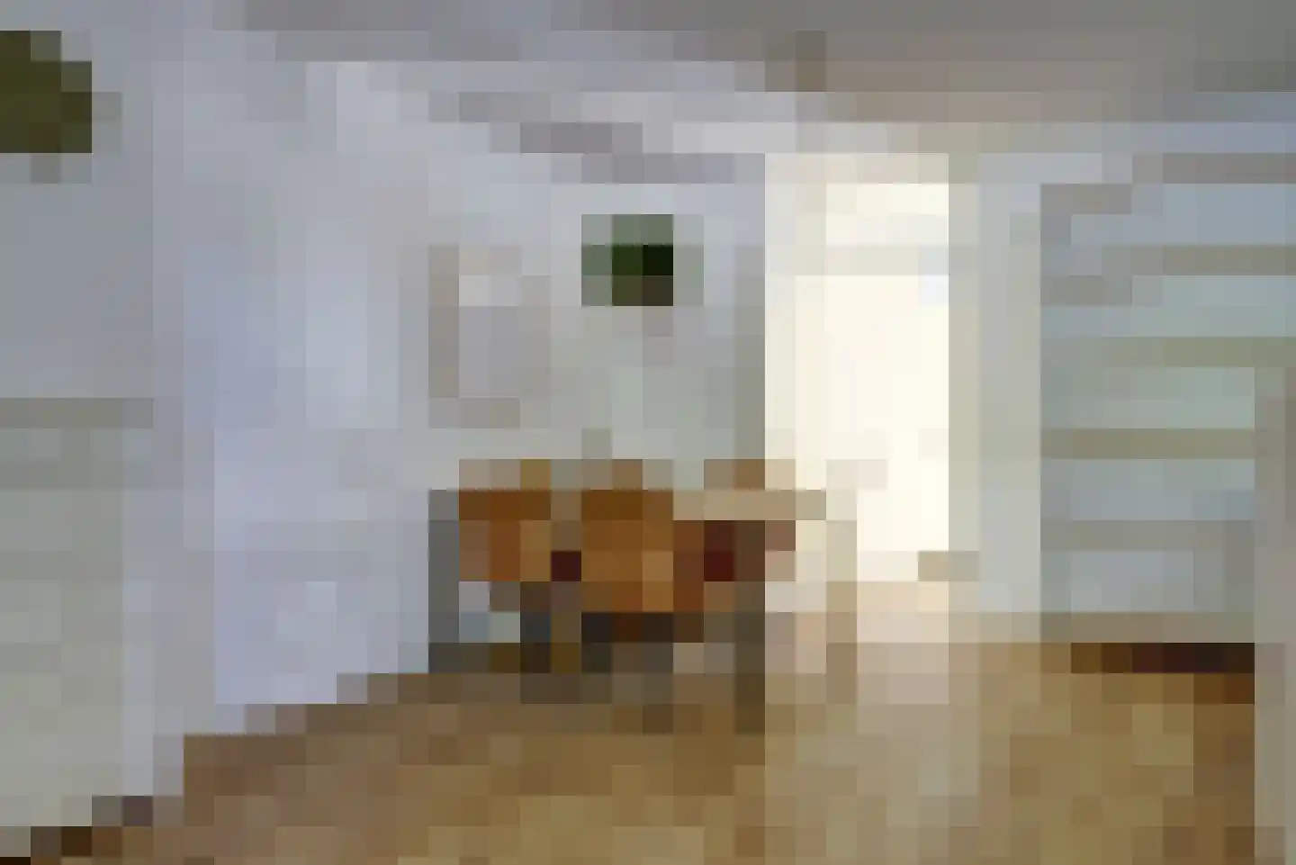 Graaf Anselmdek 11 Nieuwegein thumbnail 8