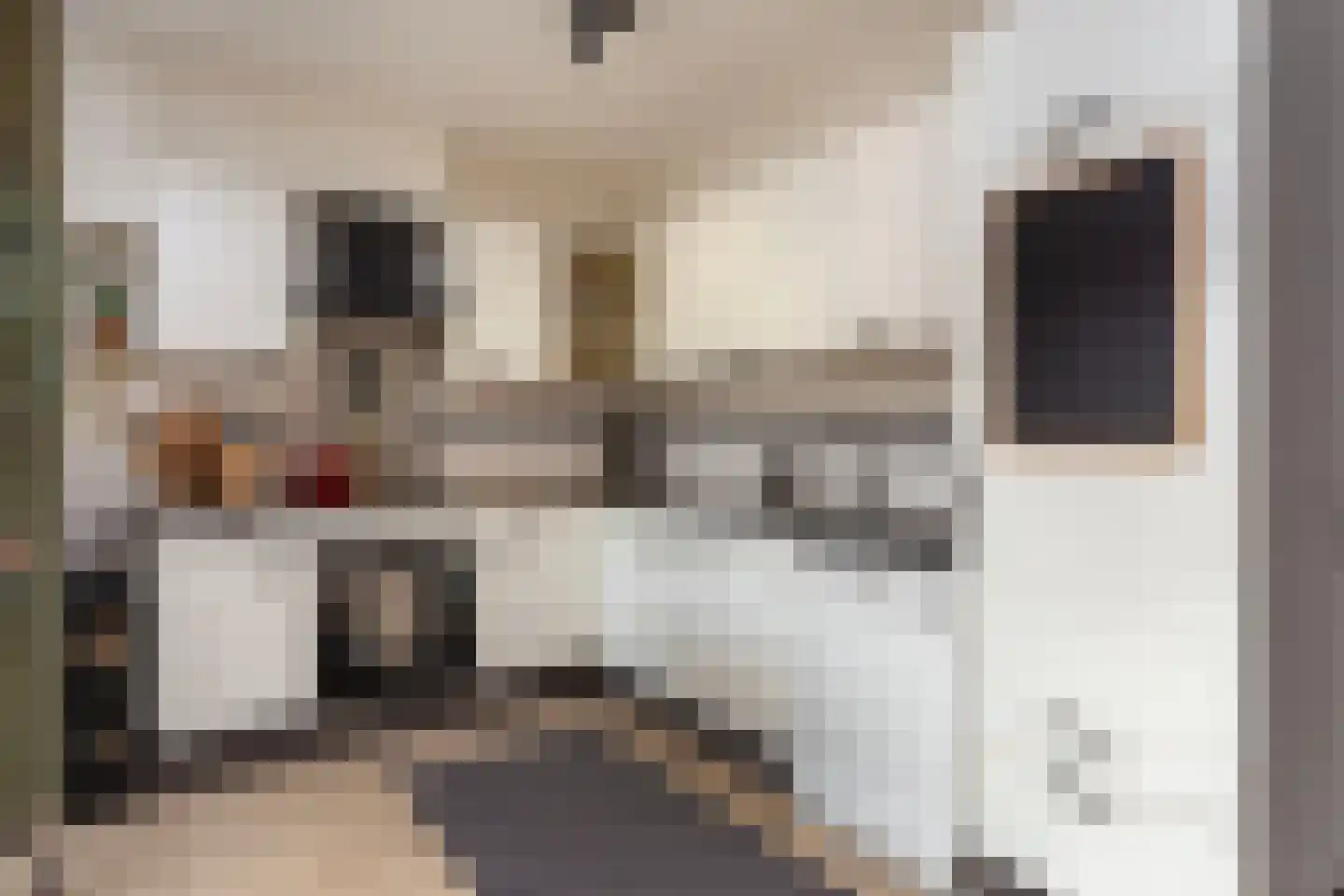 Graaf Anselmdek 12 Nieuwegein thumbnail 17