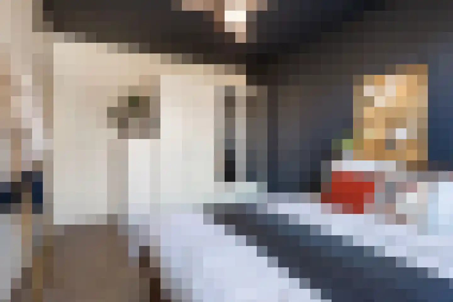 Graaf Anselmdek 12 Nieuwegein thumbnail 23
