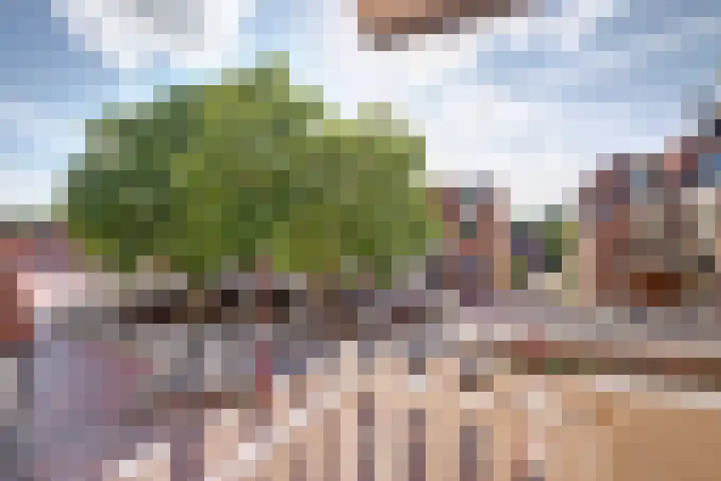 Graaf Anselmdek 23 Nieuwegein thumbnail 9
