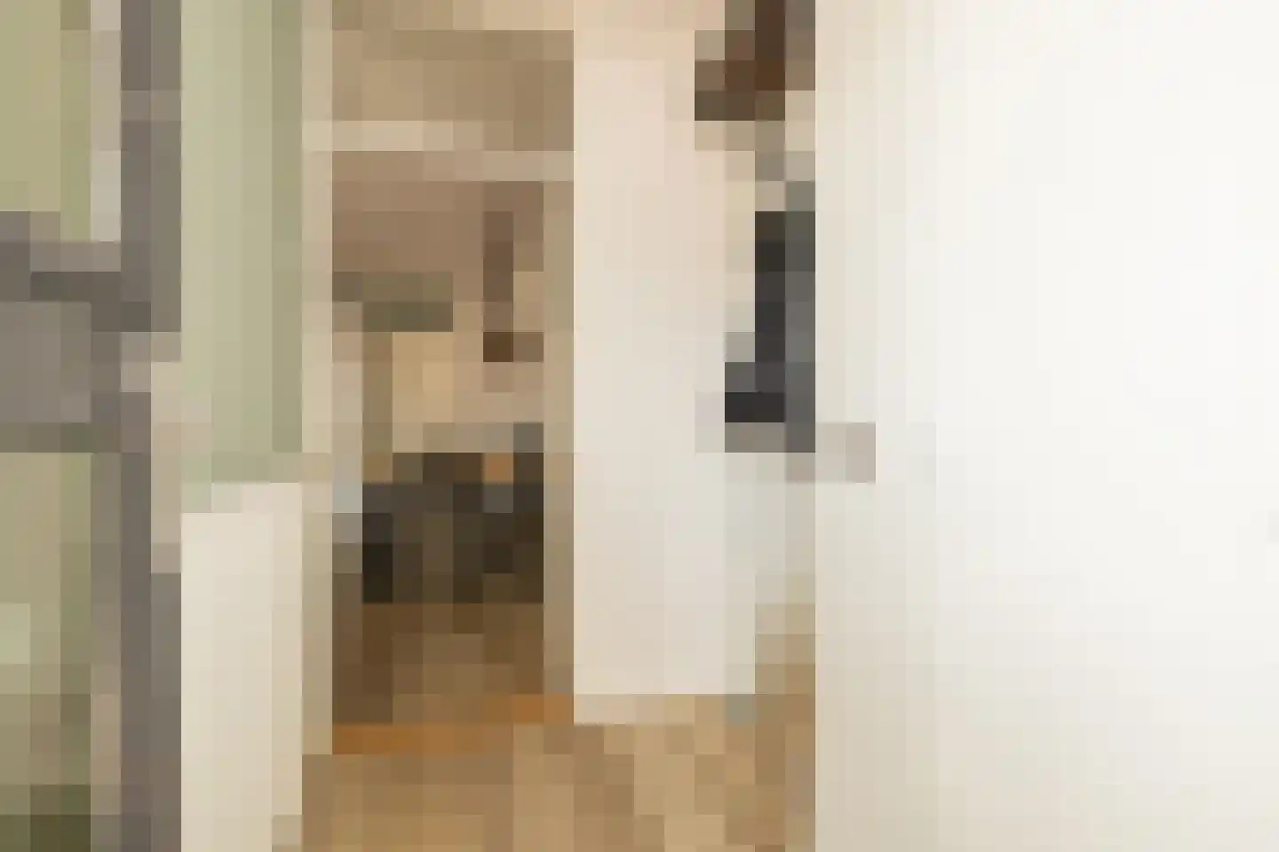Graaf Anselmdek 8 Nieuwegein thumbnail 4