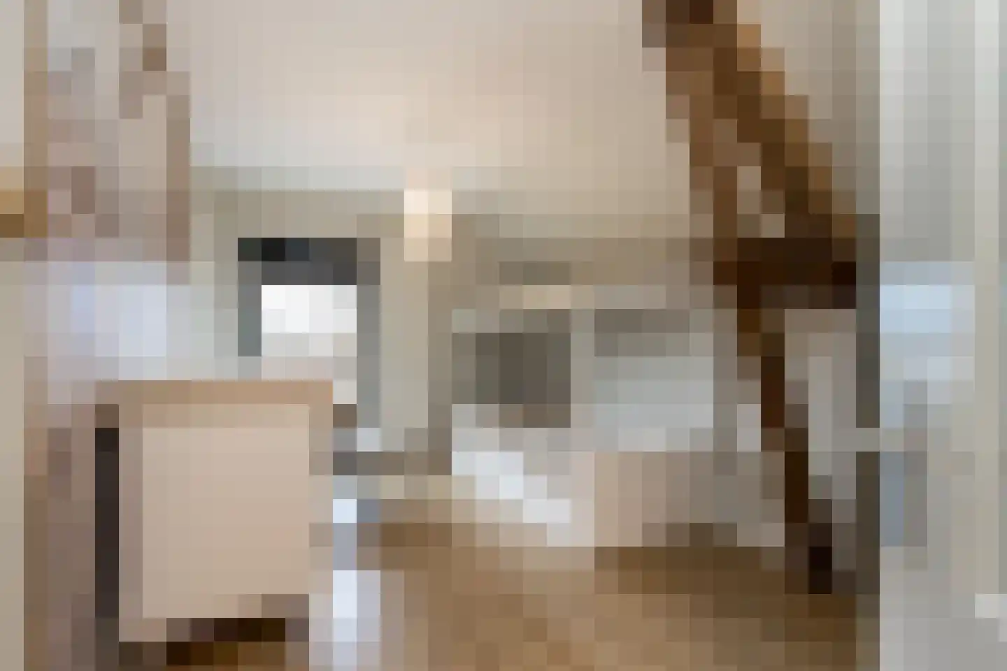 Graaf Ansfriedstraat 1 a Kerkdriel thumbnail 32