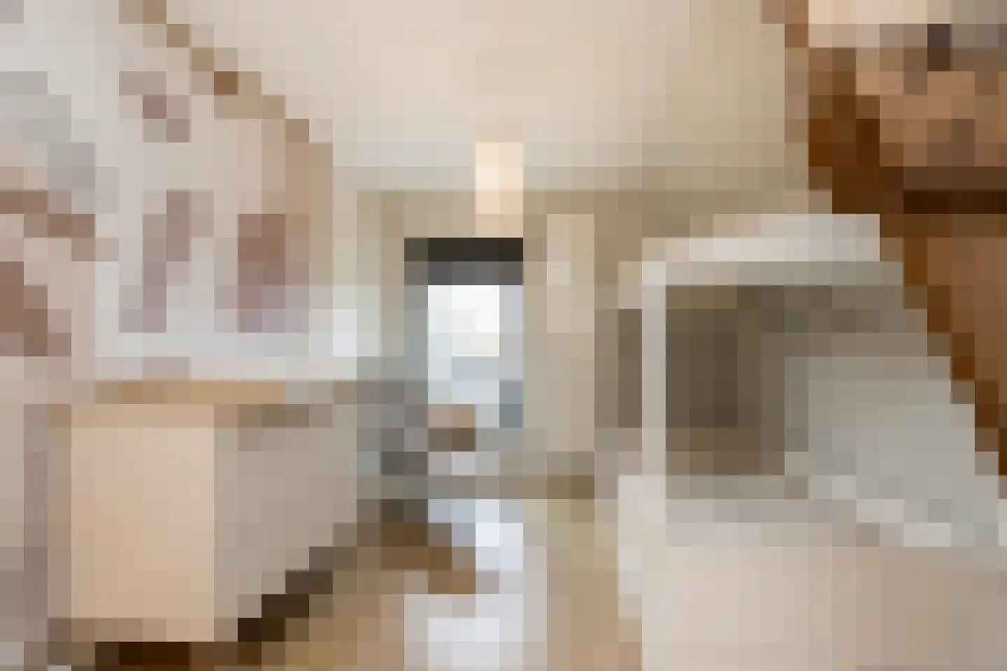 Graaf Ansfriedstraat 1 a Kerkdriel thumbnail 33