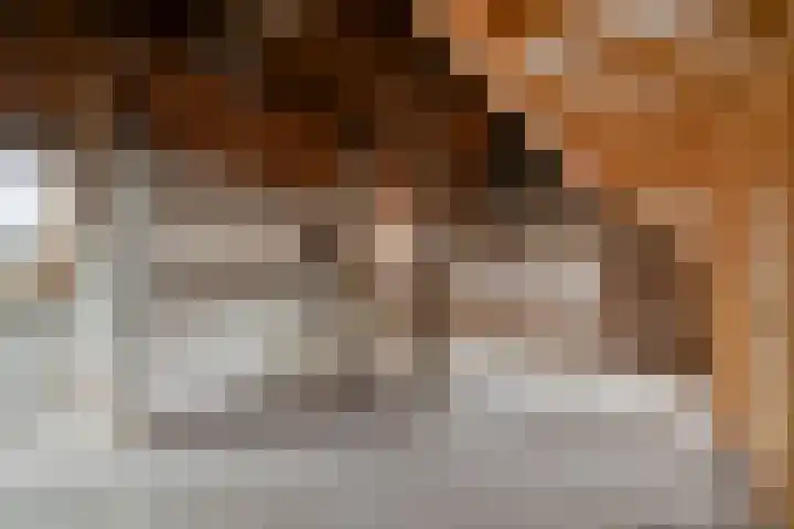 Graaf Ansfriedstraat 19 Kerkdriel thumbnail 23