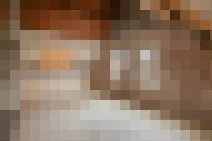 Graaf Ansfriedstraat 19 Kerkdriel thumbnail 25