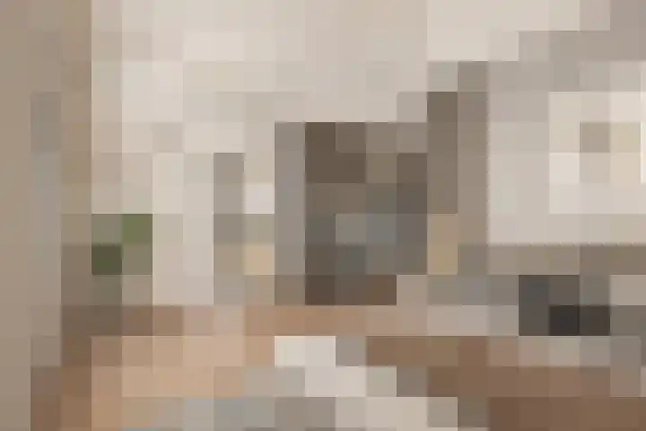 Graaf Ansfriedstraat 19 Kerkdriel thumbnail 5