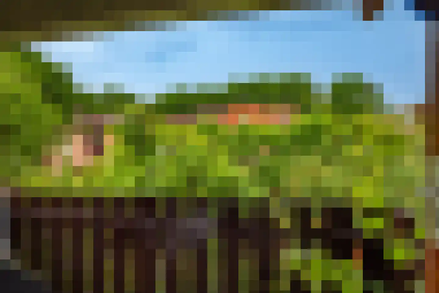 Graaf Arnoldlaan 9 Nieuwegein thumbnail 13