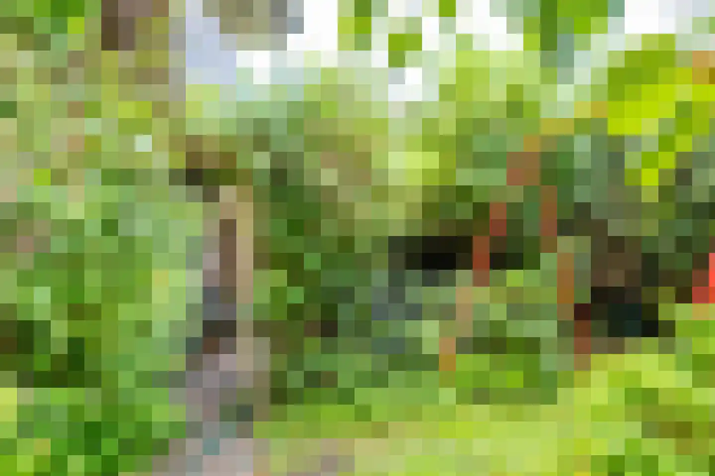 Graaf Arnoldlaan 9 Nieuwegein thumbnail 26